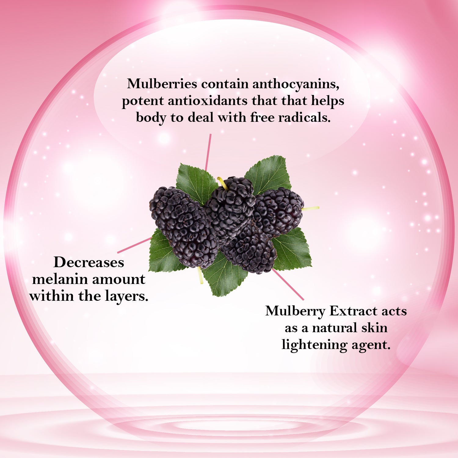 Astaberry Professional Mulberry Skin Whitening Creme