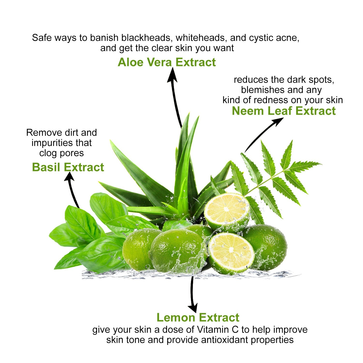 Neem Aloe Vera Face Wash Antibacterial Purifying Properties